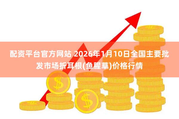配资平台官方网站 2026年1月10日全国主要批发市场折耳根(鱼腥草)价格行情