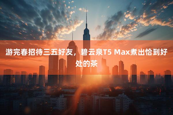 游完春招待三五好友，碧云泉T5 Max煮出恰到好处的茶