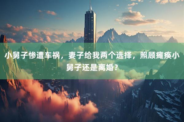 小舅子惨遭车祸，妻子给我两个选择，照顾瘫痪小舅子还是离婚？