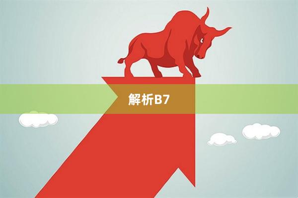 解析B7